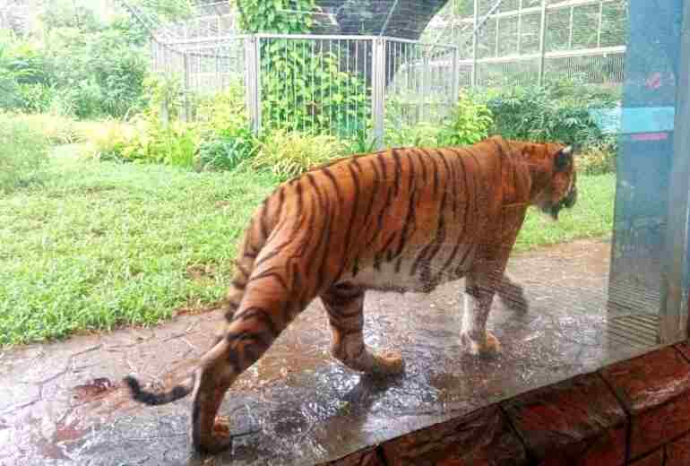 Mumbai Zoo History in Hindi