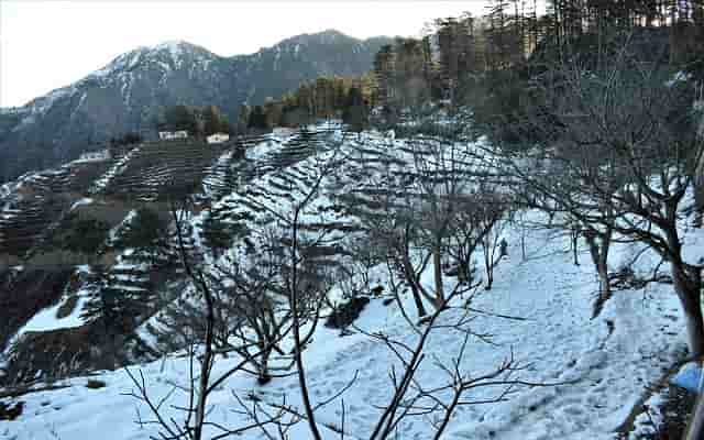 Best Places to visit in Dhanaulti in Hindi 